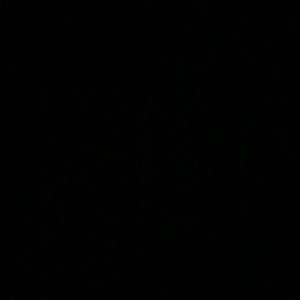 Meet your Posher, Brady